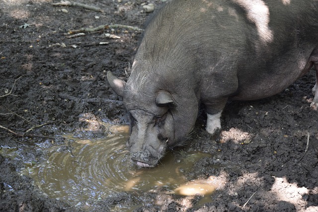 开云体育英雄联盟全球总决赛好礼赠不停